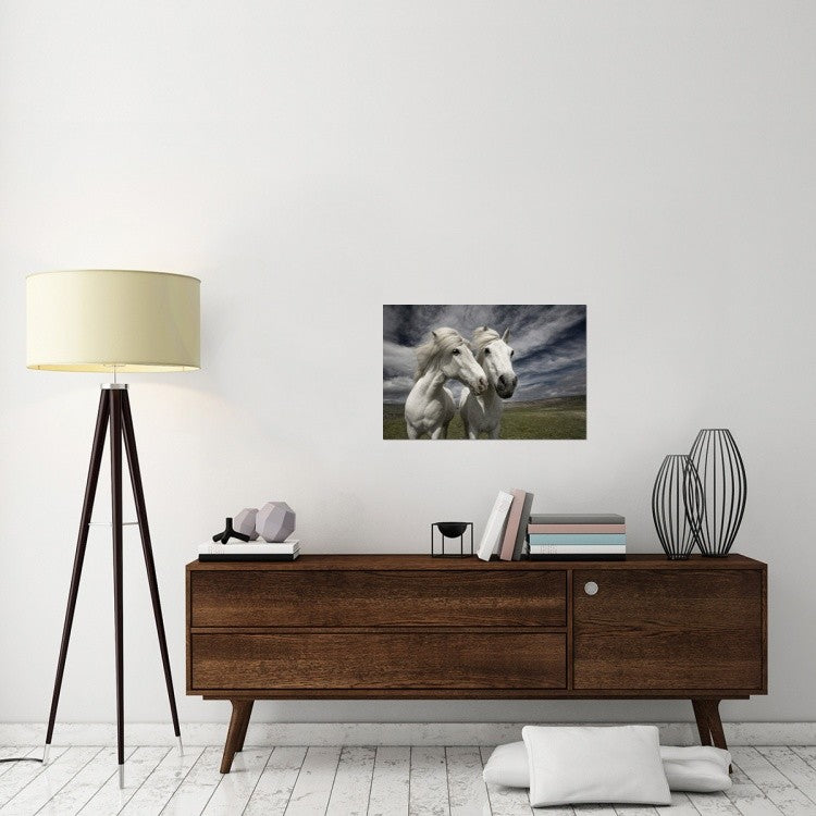 "Inseparables" Stretched Canvas Giclee by Bragi Ingibergsson, 30"x20"