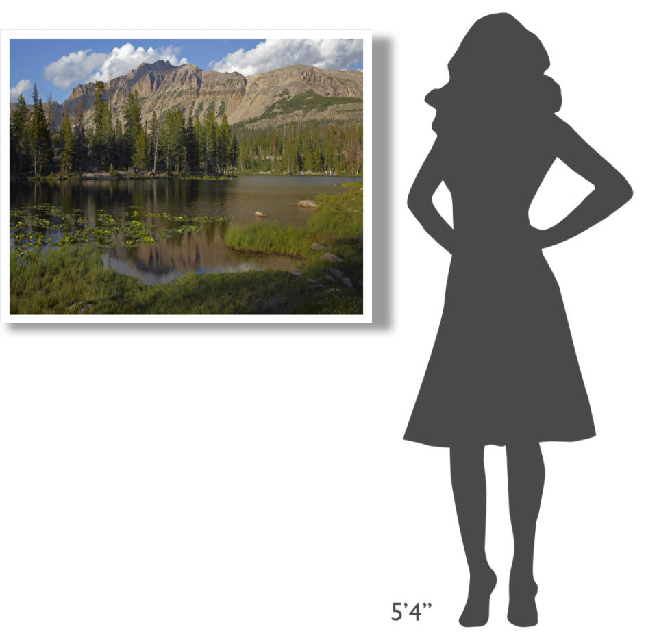 "Butterfly Lake, Uinta Range, Utah" Paper Print by Tim Fitzharris, 42"x32"