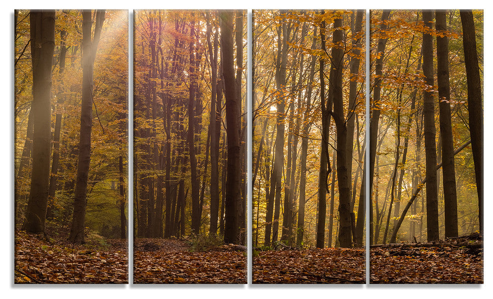 Dense Forest in Rays of Rising Sun, Forest Canvas Art Print, 48"x28", 4 Panels