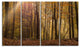 Dense Forest in Rays of Rising Sun, Forest Canvas Art Print, 48"x28", 4 Panels