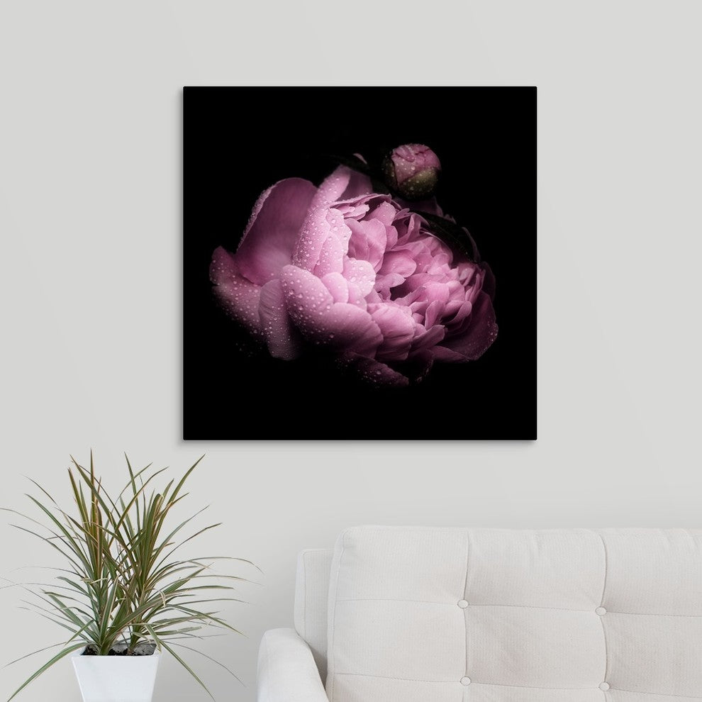 "Peony in the Dark" Wrapped Canvas Art Print, 24"x24"x1.5"