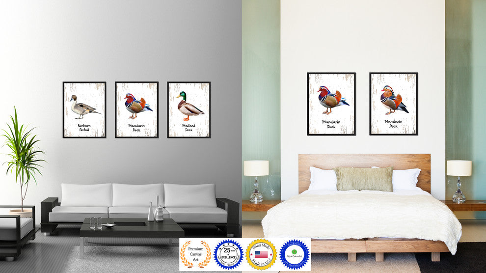 Mandarin Duck Bird Canvas Print, 28"x37"