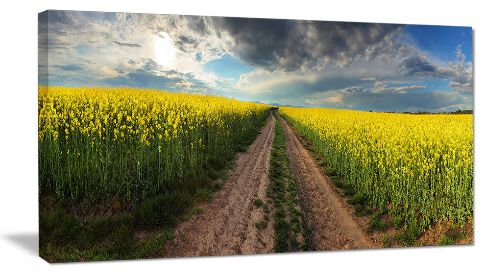 Sunset over Canola Panorama, Landscape Canvas Art Print, 32"x16"