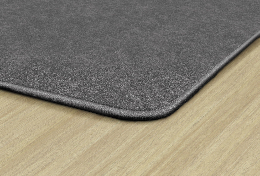 Flagship Carpets TS-22GY Amerisoft Gray