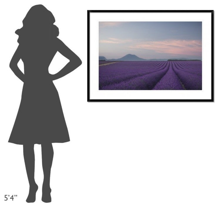 "Lavender Field" Framed Digital Print by Rostovskiy Anton, 44x32"