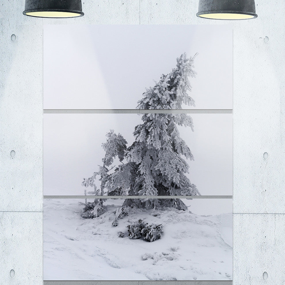 "Grayscale Valley in Frost" Photo Metal Wall Art, 3 Panels, 28"x36"