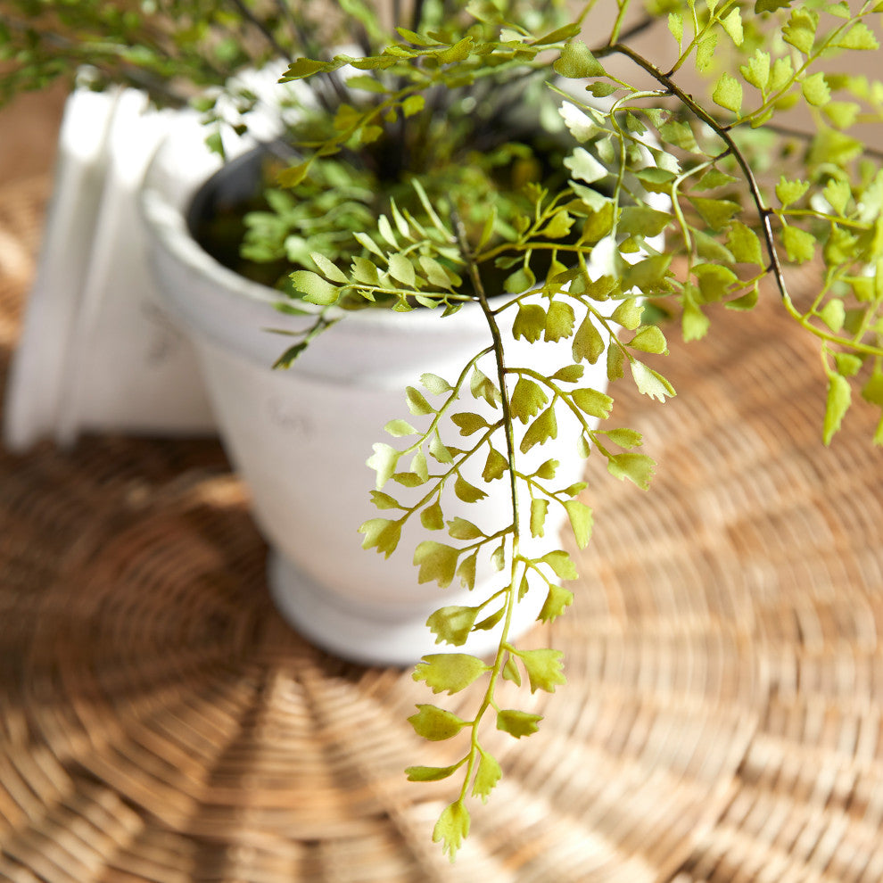 Maidenhair Drop-In 30"