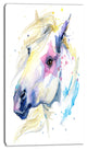 Horse Illustration with Splash, Animal Canvas Art Print, 16"x32"