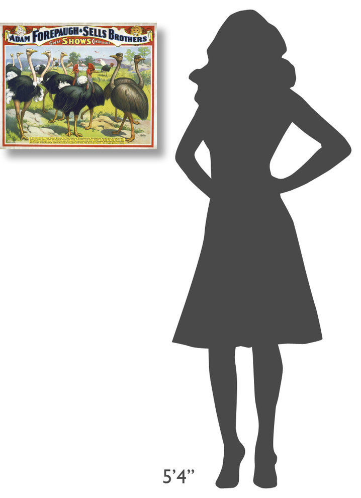 "Adam Forepaugh & Sells Brothers Giant Birds" Canvas Giclee, 22"x18"