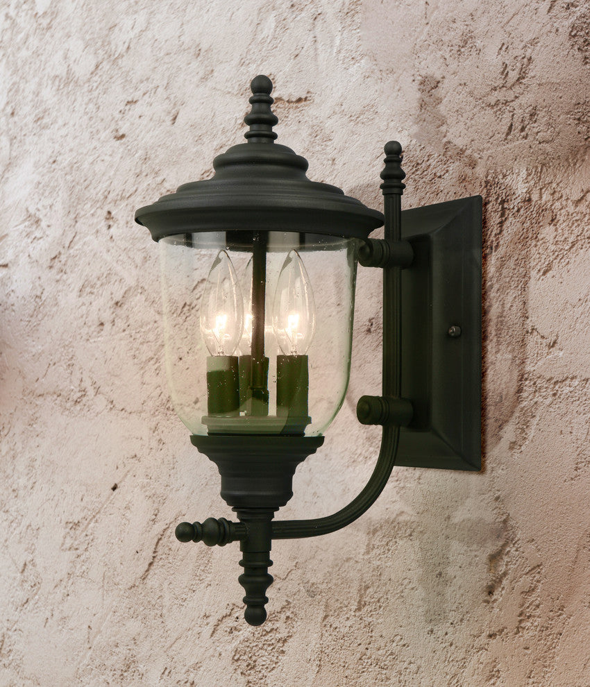 Eglo 3x60w Outdoor Wall Light W/ Matte Black Finish And Clear Seeded Glass - 202