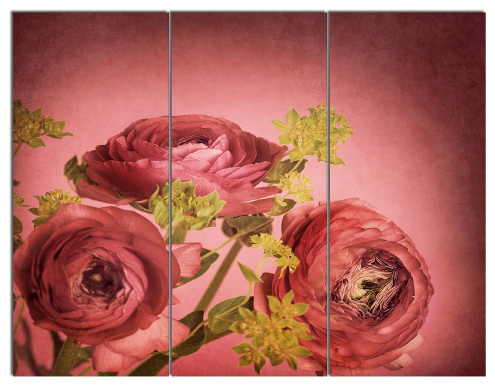 Ranunculus Flowers Stem on Pink, Floral Triptych Canvas Print, 36x28, 3 Panels