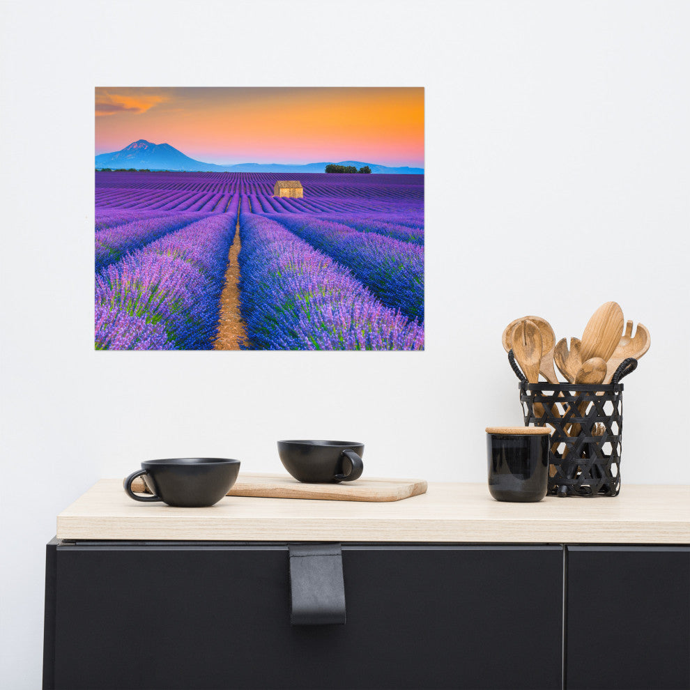 Blooming Lavender Field and Sunset Landscape Photo Unframed Wall Art Prints, 16" X 20"
