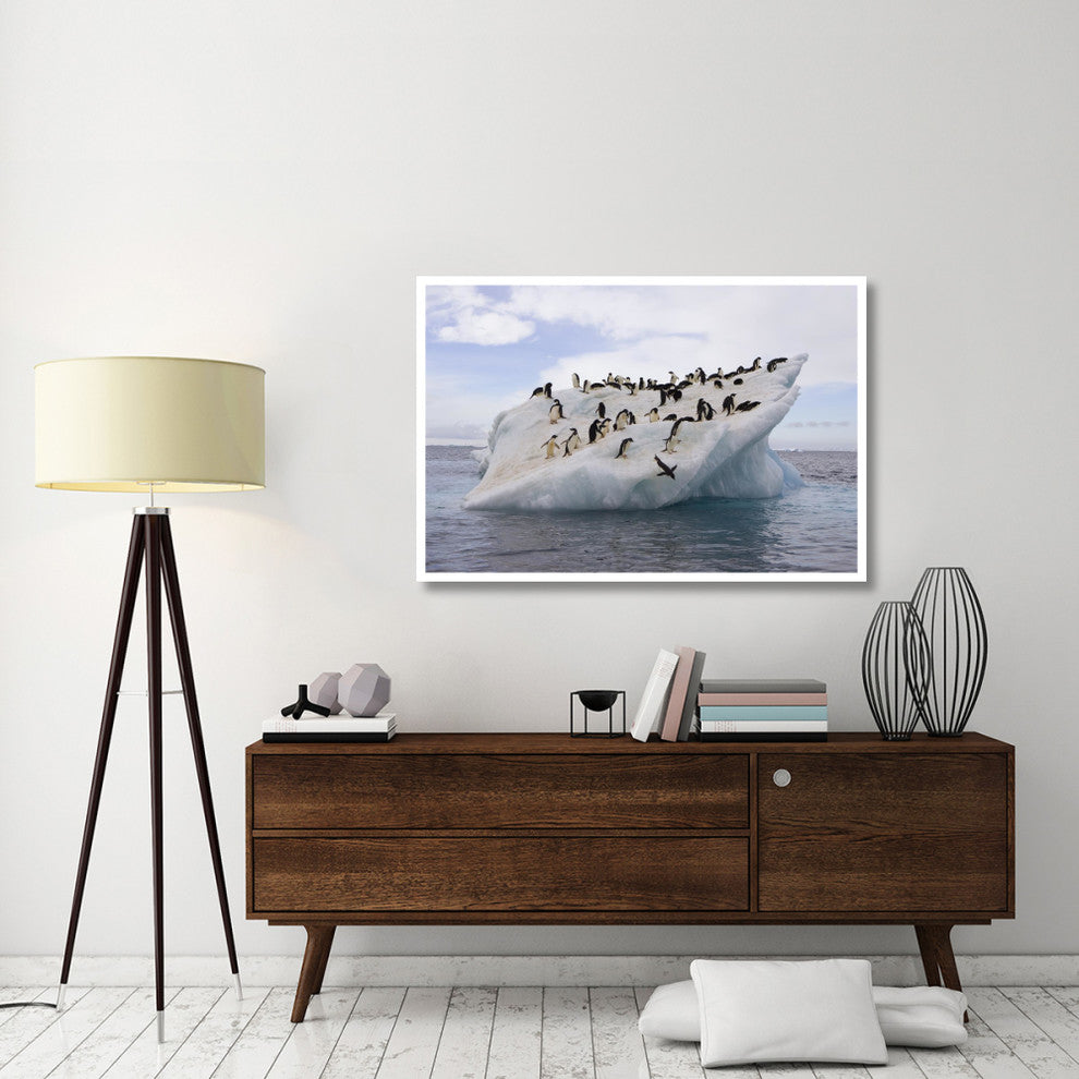 "Adelie Penguin flock on iceberg near Paulet Island" Paper Art, 50"x34"