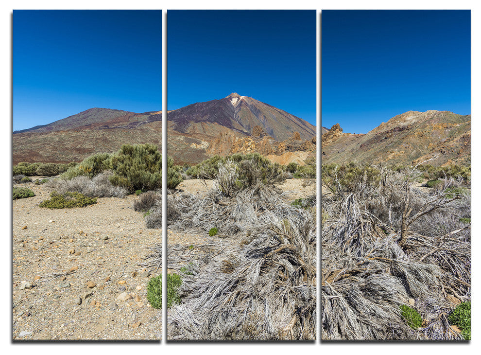 "Caldera of the Volcano Teide" Canvas Art, 3 Panels, 36"x28"