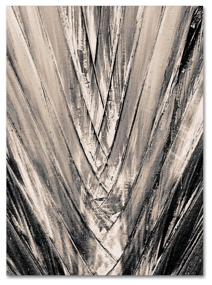 Patty Tuggle 'Sepia Palm' Canvas Art, 24x18