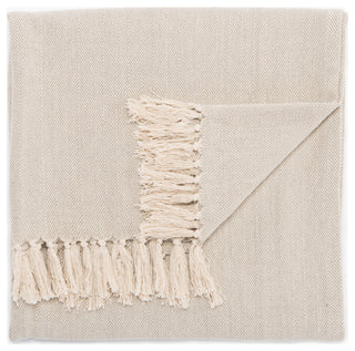 Jaipur Living Cannon Chevron Throw, 50x60, Neutral Gray