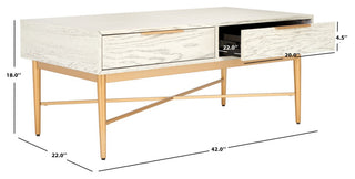 Safavieh Pierre 2 Drawer Coffee Table, White Washed/Gold