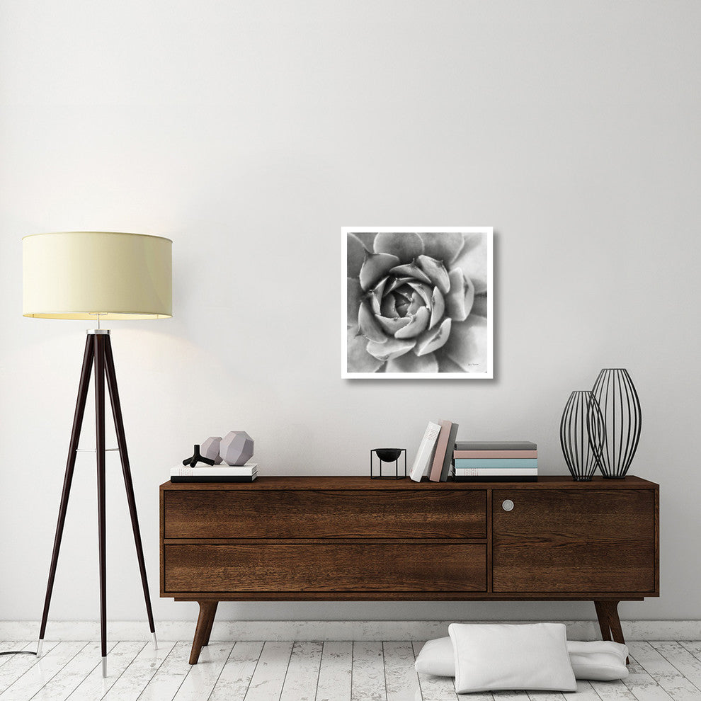 "Garden Succulent II" Digital Paper Print by Laura Marshall, 26"x26"