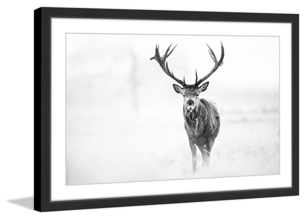 "Elk Stare" Framed Painting Print, 36x24