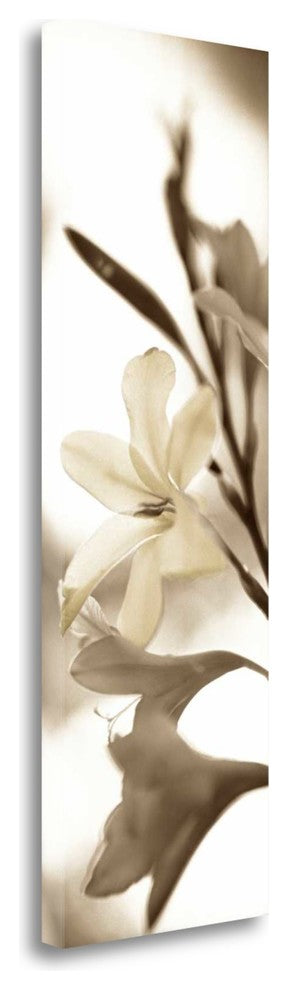 "Florison - 76" By Alan Blaustein, Giclee Print on Gallery Wrap Canvas