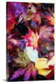 "Fellows" Wrapped Canvas Art Print, 32"x48"x1.5"