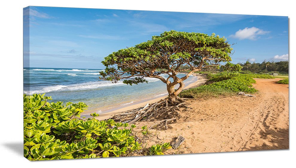 "Green Tree on Beach in Kauai Hawaii" Contemporary Seascape Art Canvas, 32"x16"