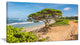 "Green Tree on Beach in Kauai Hawaii" Contemporary Seascape Art Canvas, 32"x16"
