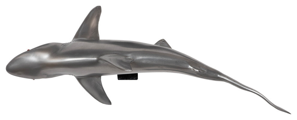 Whaler Shark, Polished Aluminum