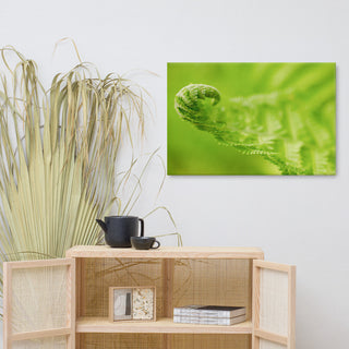 Fern Curl Botanical, Nature Photography Canvas Wall Art Print, 24" X 36"