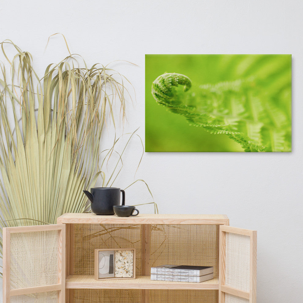 Fern Curl Botanical, Nature Photography Canvas Wall Art Print, 24" X 36"