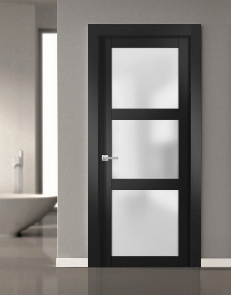 Solid French Door Frosted Glass | Lucia 2552 Matte Black | -32 x 80