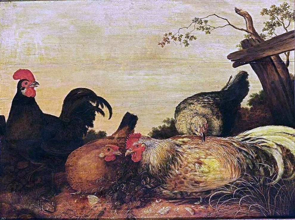 Gijsbert Gillisz De Hondecoeter Poultry, 21"x28" Wall Decal