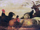 Gijsbert Gillisz De Hondecoeter Poultry, 21"x28" Wall Decal