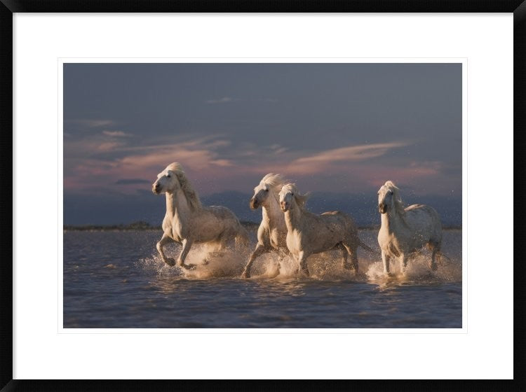 "Angels Of Camargue" Framed Digital Print by Rostovskiy Anton, 32x24"