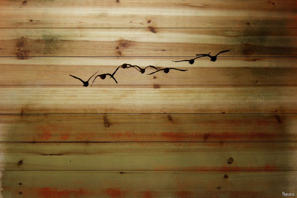 "Sun Flight" UV Ink Print on Natural Pine Wood, 60"x40"