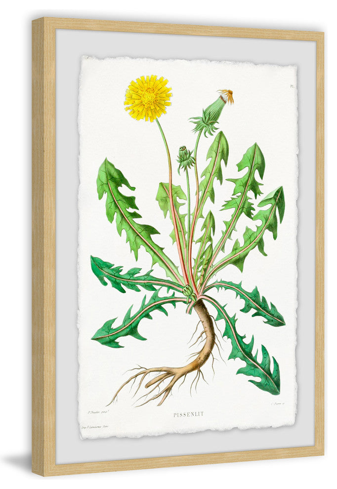 "Yellow Dandelion" Framed Painting Print, 16"x24"
