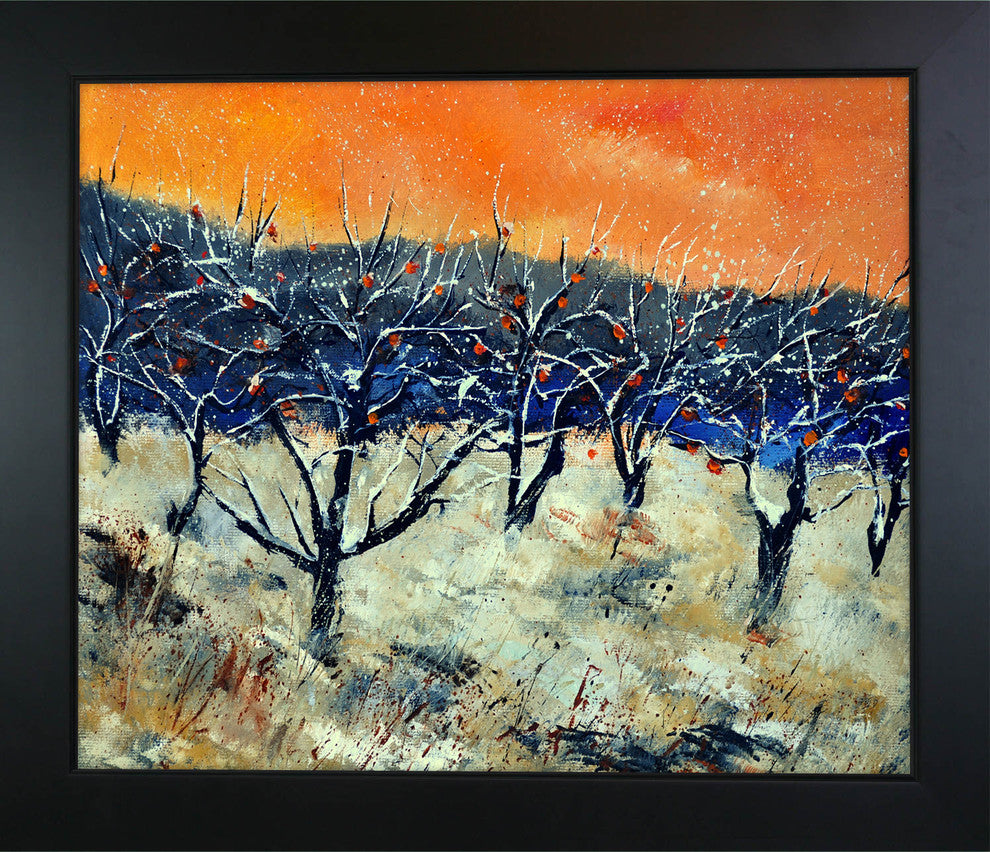 Apple Trees in Winter