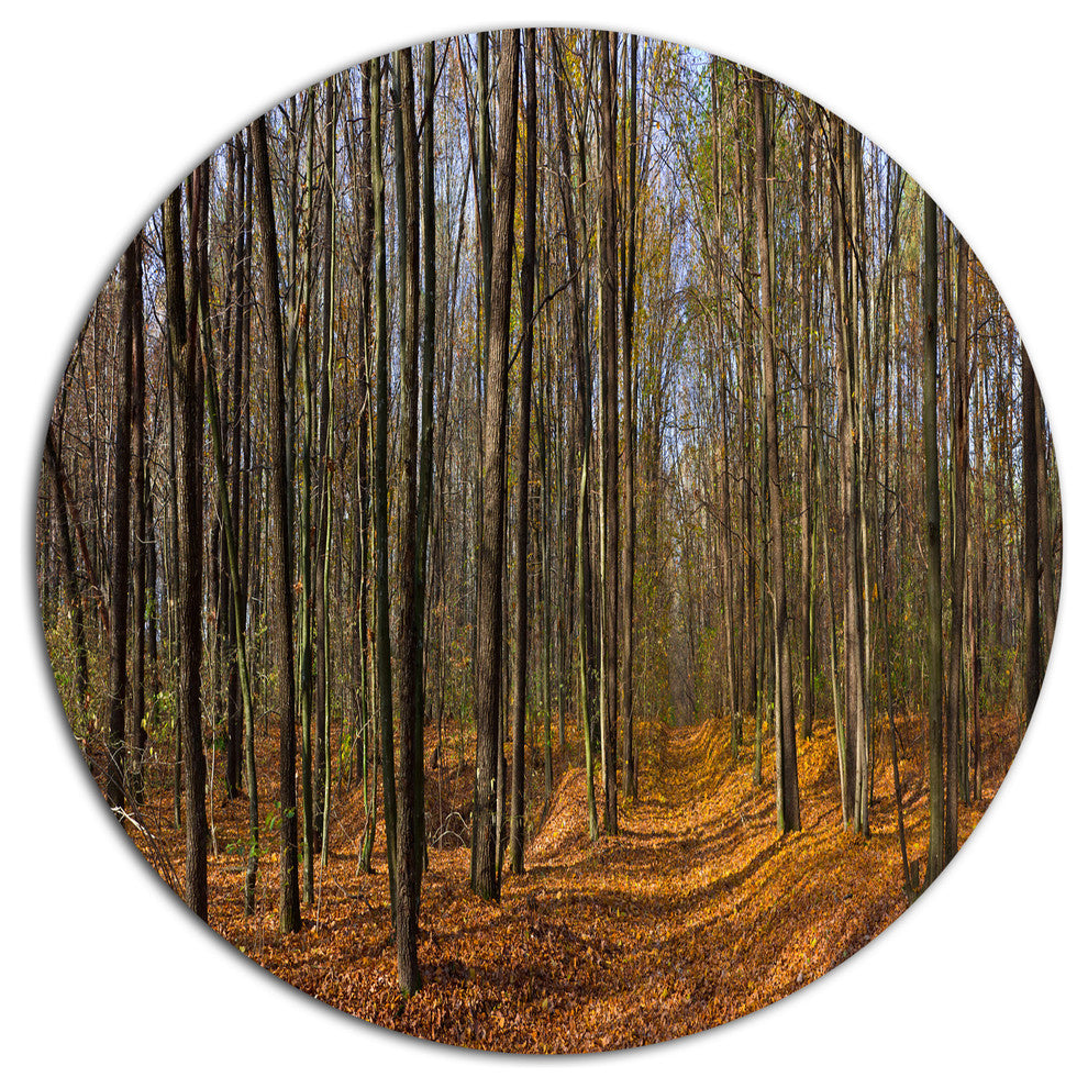 Dense Fall Forest Panorama, Modern Forest Round Wall Art, 36"