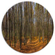 Dense Fall Forest Panorama, Modern Forest Round Wall Art, 36"