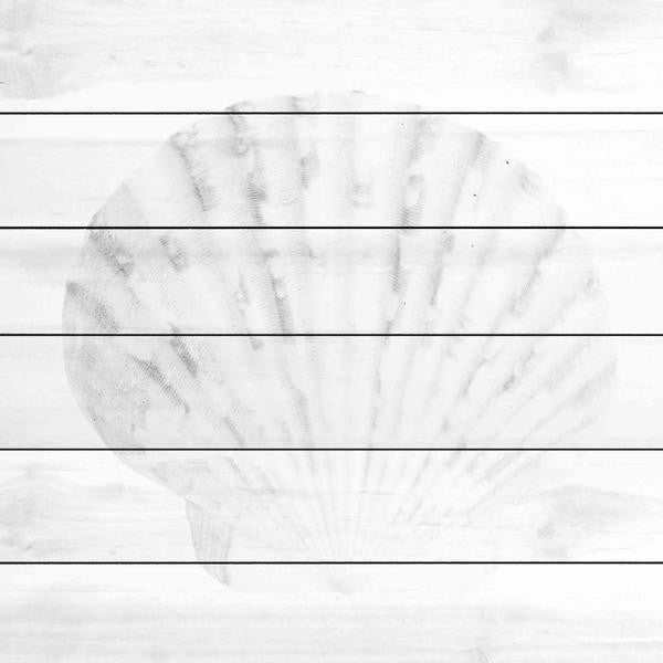 "Subtle Scallop" Painting Print on White Wood, 24"x24"