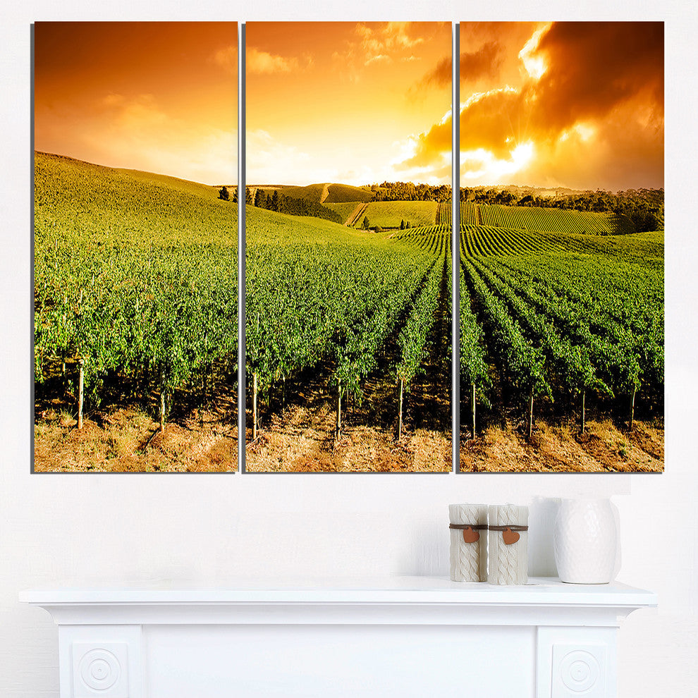 "Sunset Vineyard Panorama" Metal Landscape, 3 Panels, 36"x28"