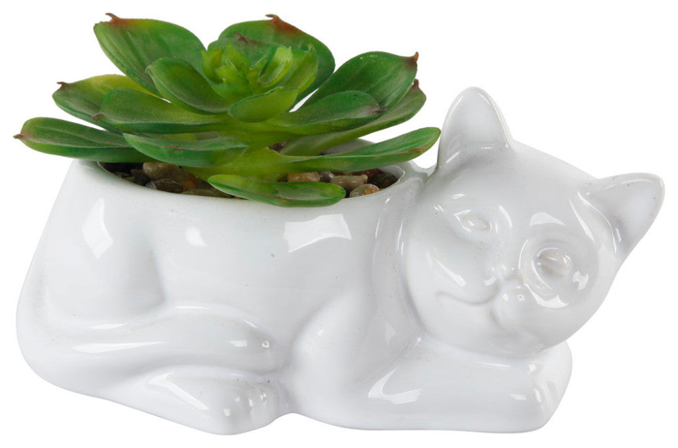 Cermic Cat With Succulent