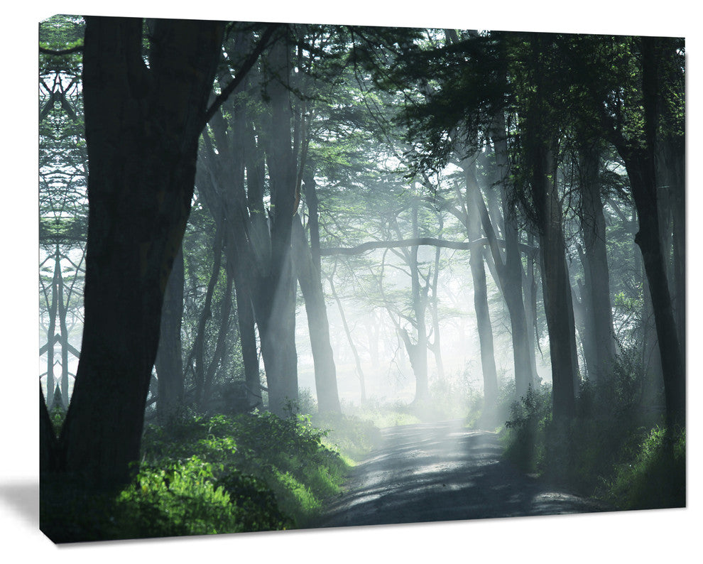 Dense Rain Forest At Sunrise, Extra Large Landscape Canvas Art, 40"x30"