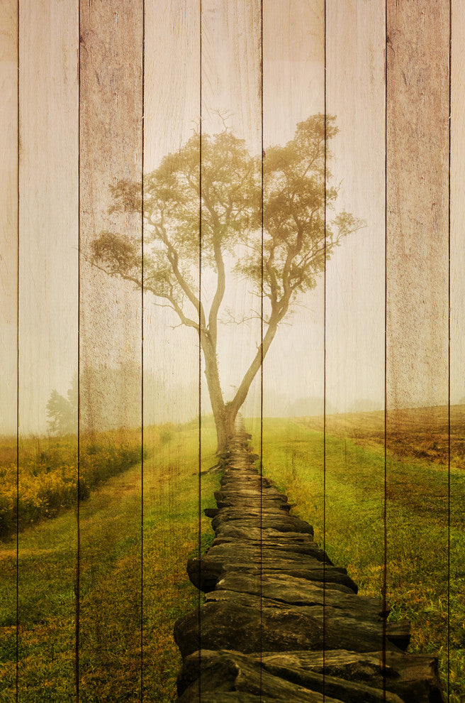 Faux Wood Calming Morning Landscape Photo Canvas Prints, 12" X 16"