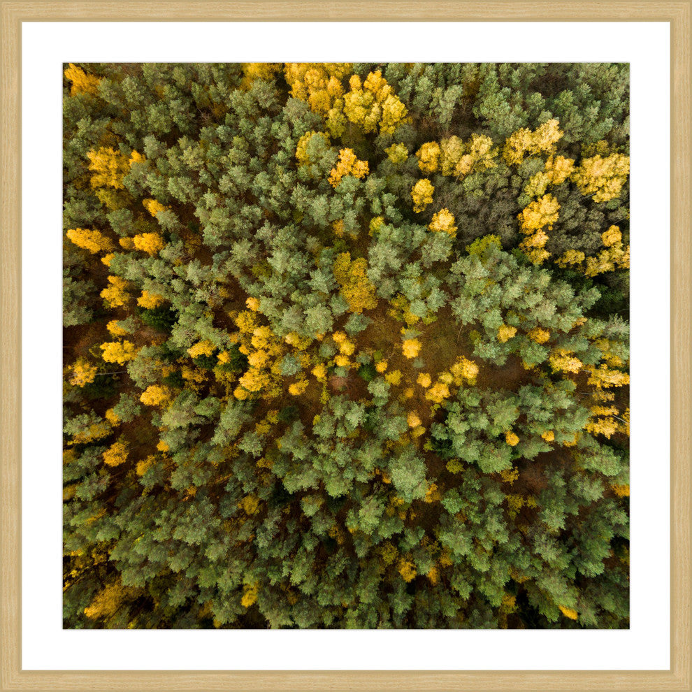 "Yellow and Green Trees" Framed Print by Karolis Janulis