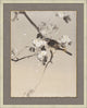 Eastern Birds 1, Giclee Reproduction Artwork