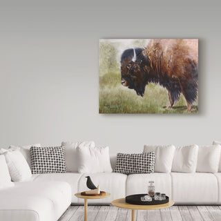 Rusty Frentner 'Buffalo' Canvas Art, 47"x35"