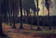 Vincent Van Gogh Edge of a Wood Wall Decal