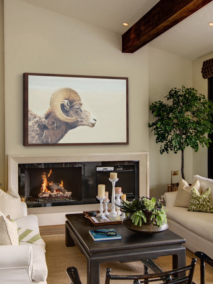 Marmont Hill, "Curled Horns" Framed Painting Print, 18x12
