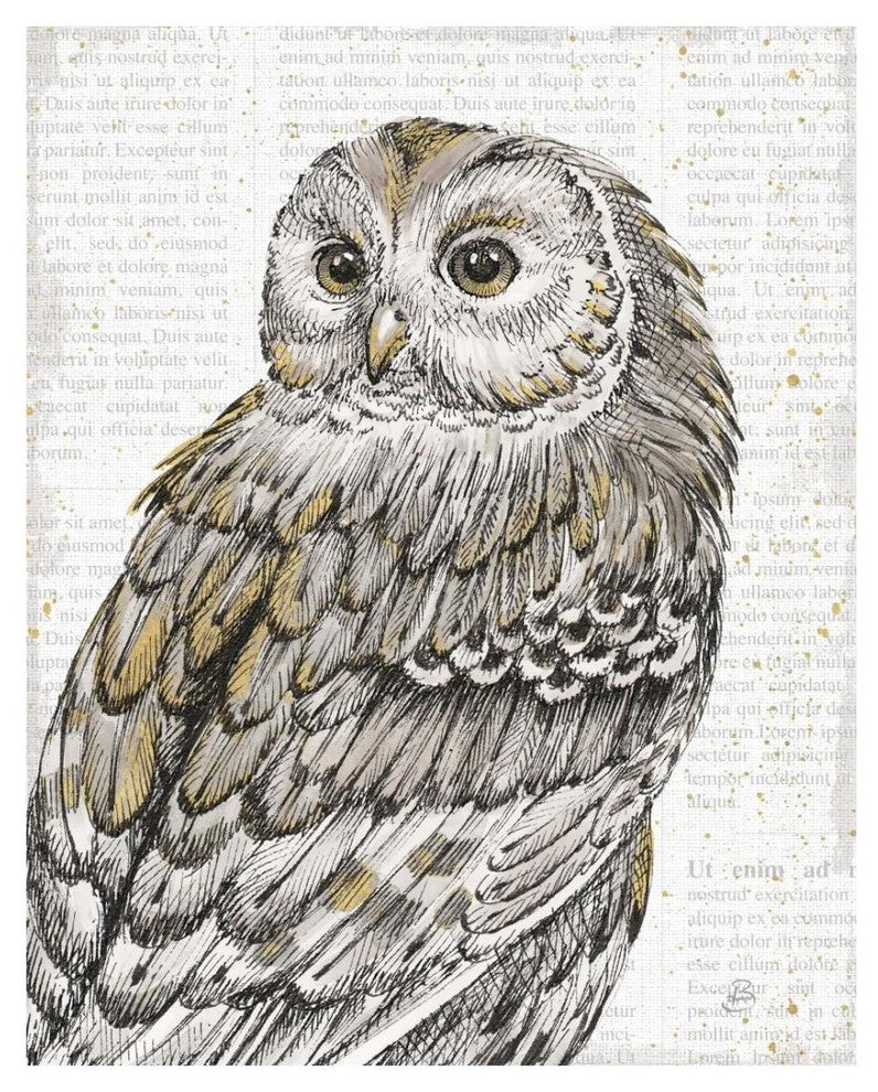 "Beautiful Owls III" Digital Paper Print by Daphne Brissonnet, 22"x26"